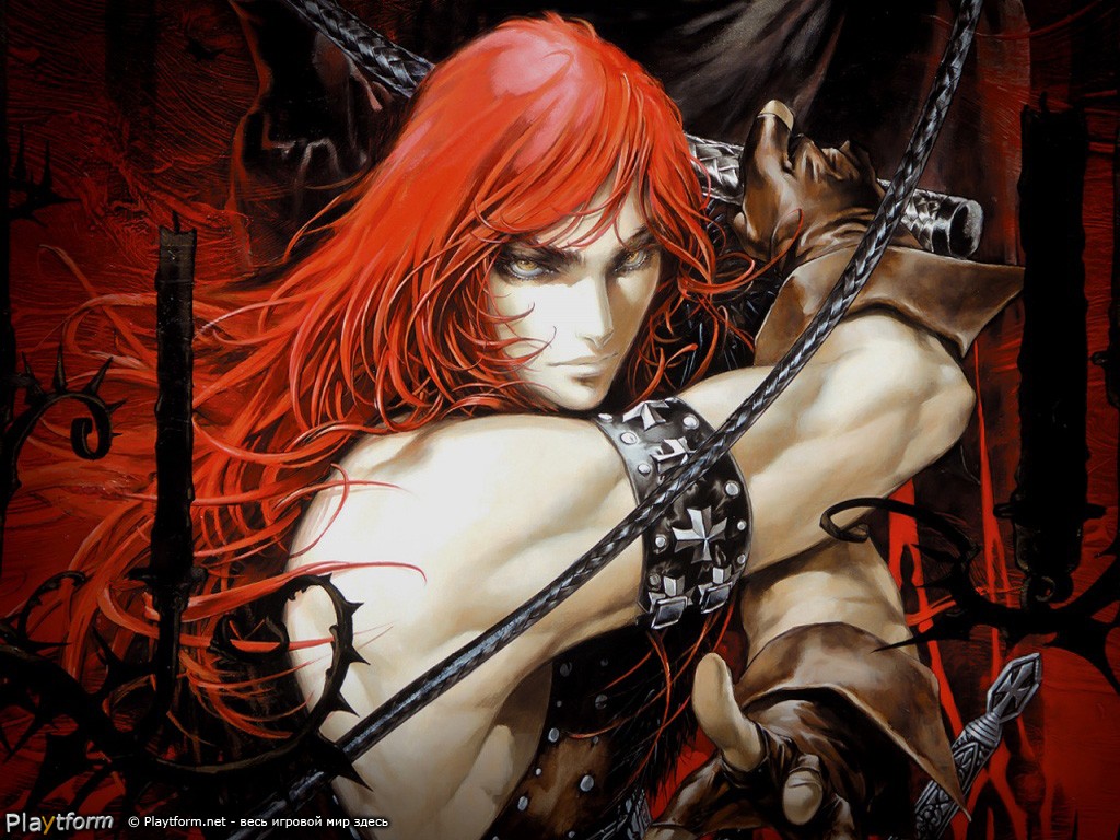 Castlevania (Wii)