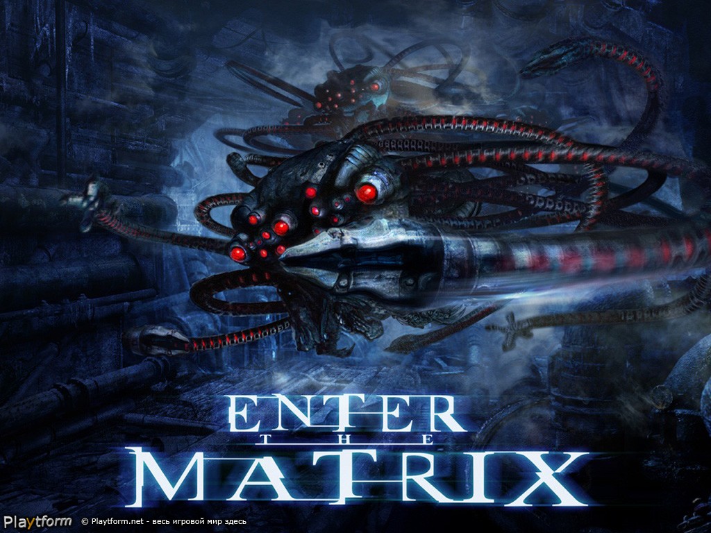 Enter the Matrix (GameCube)