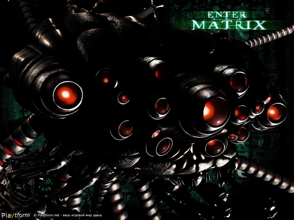 Enter the Matrix (Xbox)