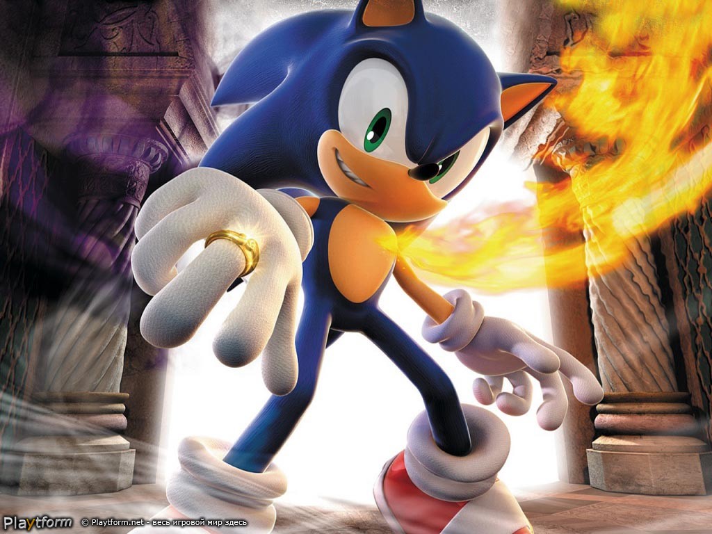 Sonic and the Secret Rings (Wii)