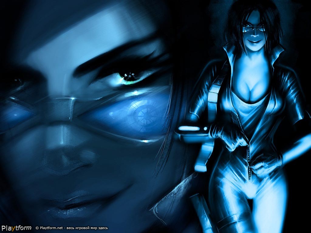 Stolen (PlayStation 2)