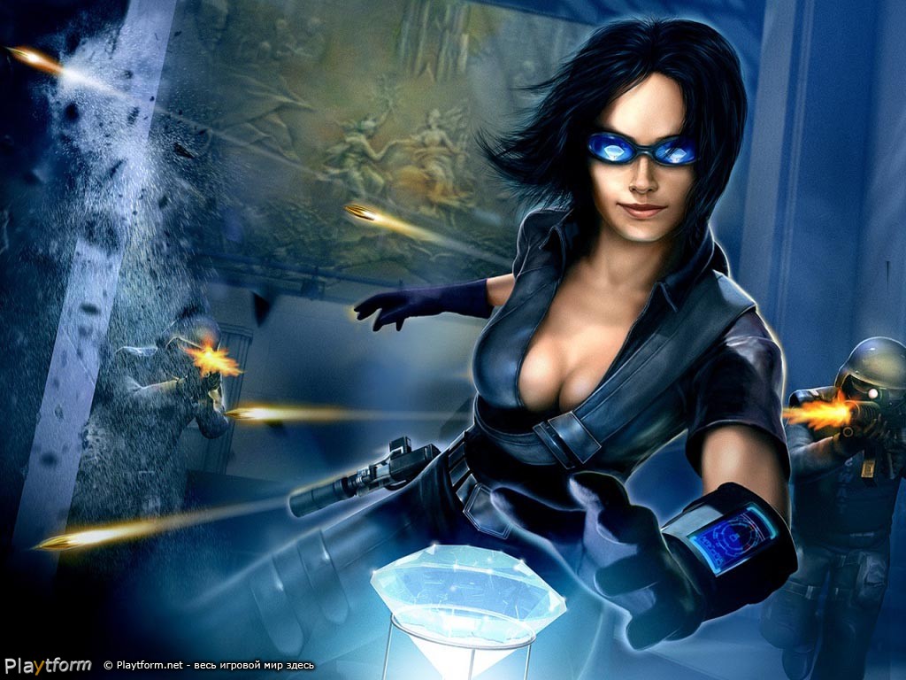 Stolen (PlayStation 2)