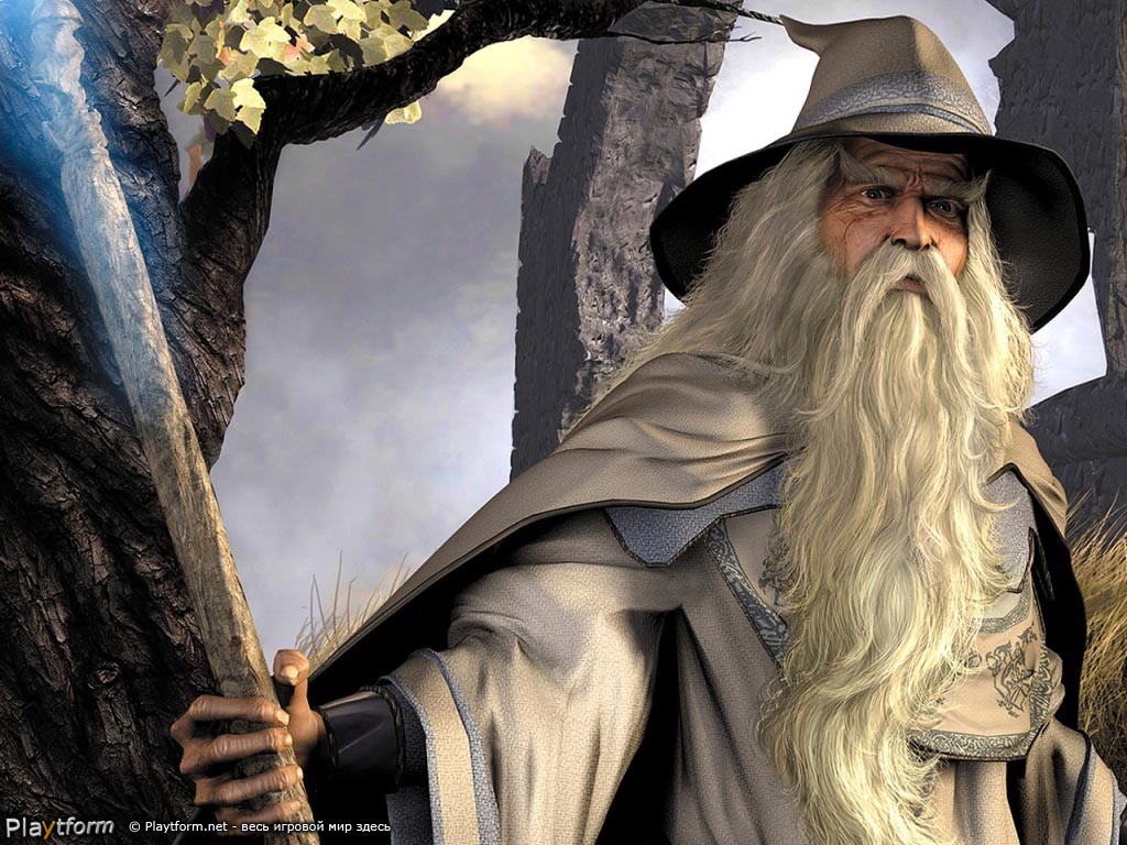 The Lord of the Rings: The Fellowship of the Ring (PC)