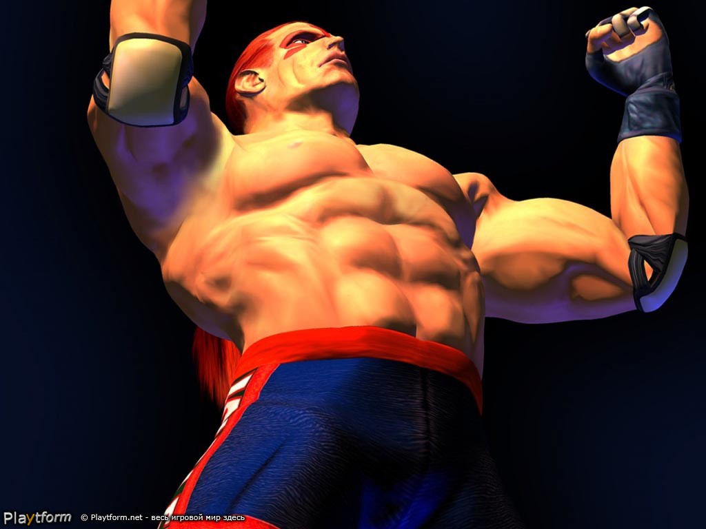 Virtua Fighter 4 (PlayStation 2)