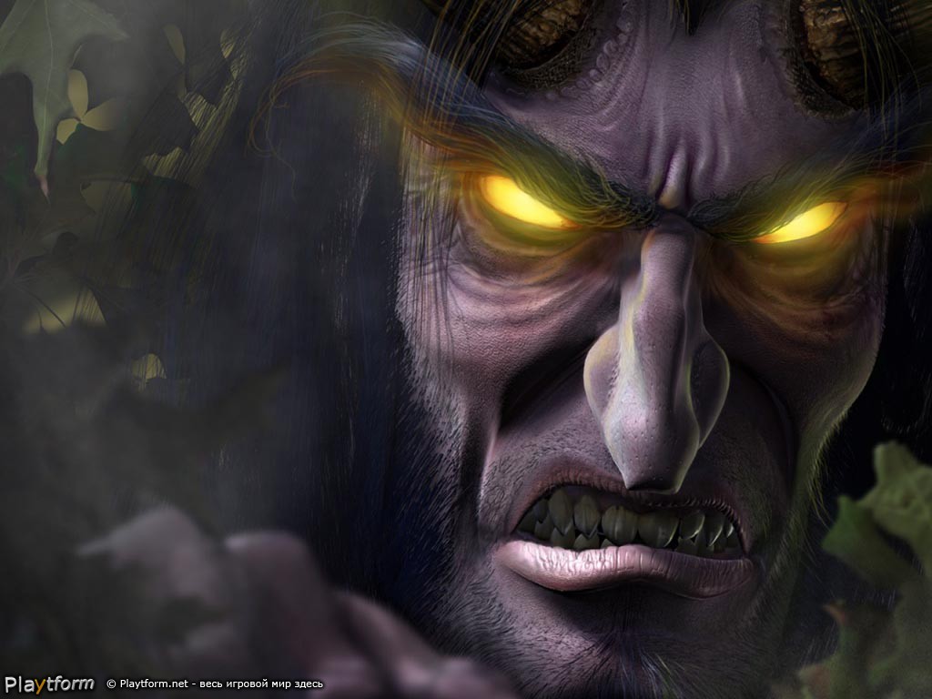 Warcraft III: Reign of Chaos (PC)