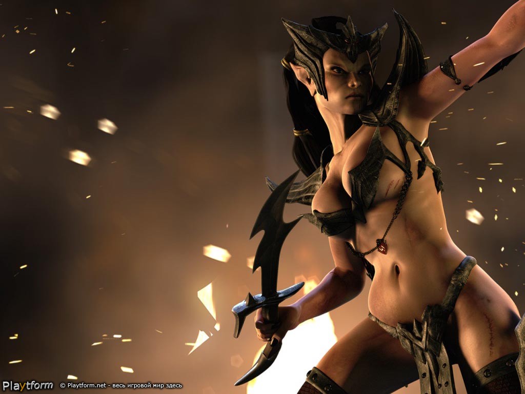 Warhammer Online: Age of Reckoning (Macintosh)