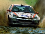 Colin McRae Rally 3