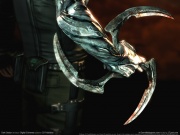 Dark Sector