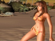 Dead or Alive Xtreme Beach Volleyball