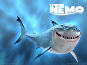 Finding Nemo