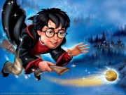 Harry Potter and the Sorcerer's Stone