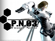 P.N. 03