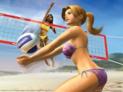 Summer Heat Beach Volleyball